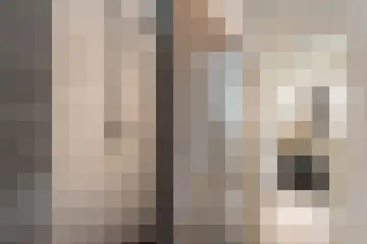 Veenlanden 56 Steenwijk thumbnail 30