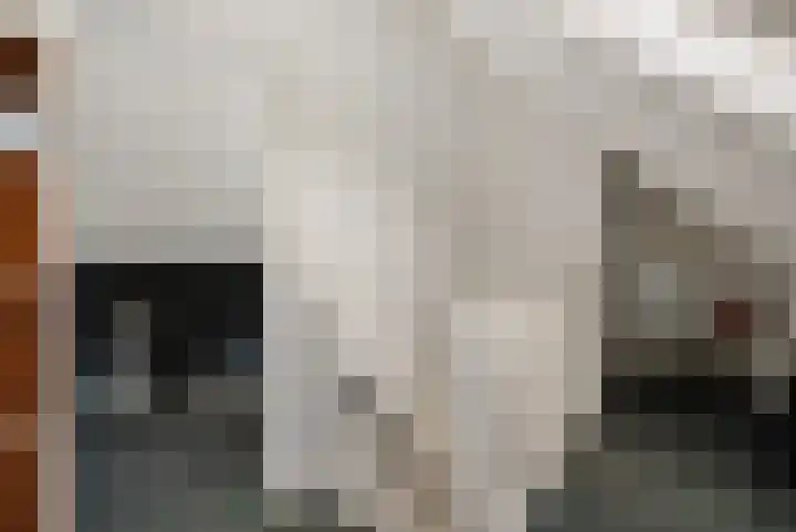 Veenlanden 56 Steenwijk thumbnail 31