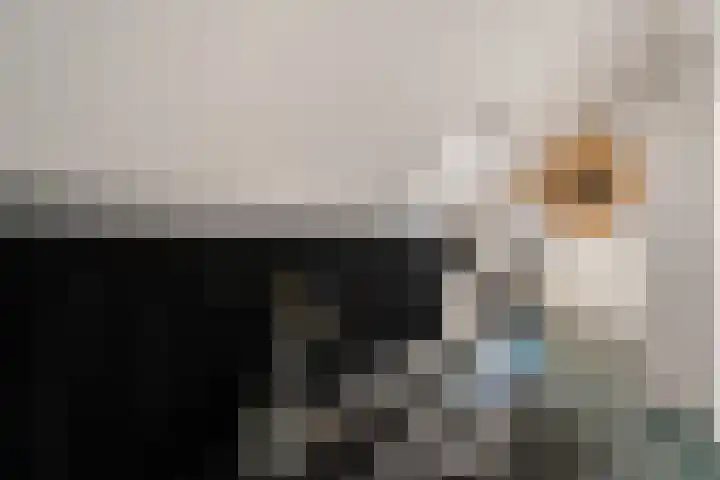 Veenlanden 56 Steenwijk thumbnail 32
