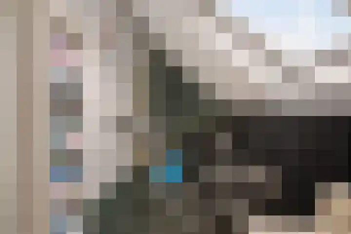 Veenlanden 56 Steenwijk thumbnail 33