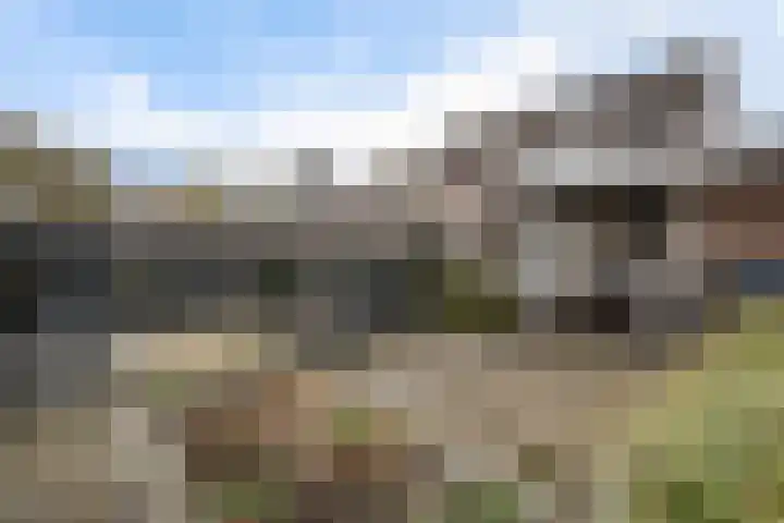 Veenlanden 56 Steenwijk thumbnail 34