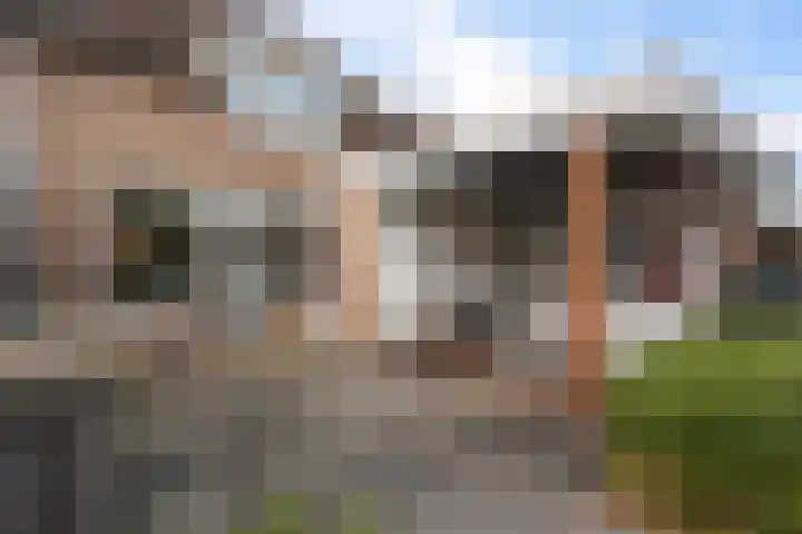 Veenlanden 56 Steenwijk thumbnail 35