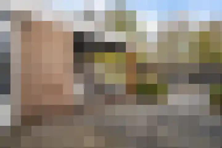 Veenlanden 56 Steenwijk thumbnail 37