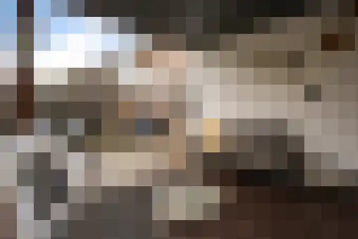 Veenlanden 56 Steenwijk thumbnail 39
