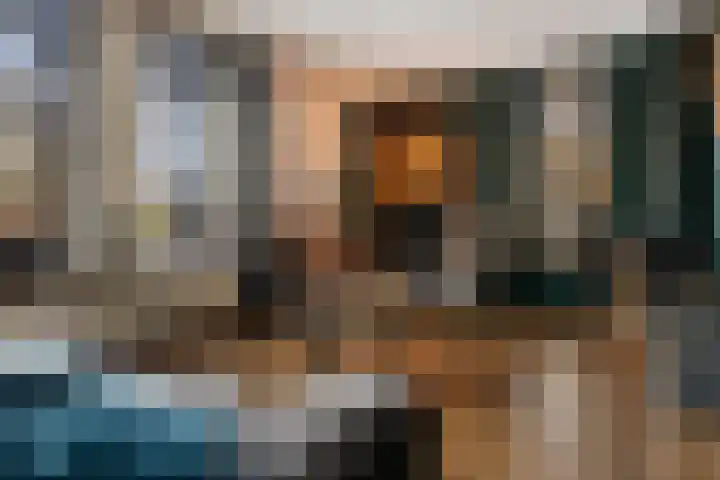 Veenlanden 56 Steenwijk thumbnail 4
