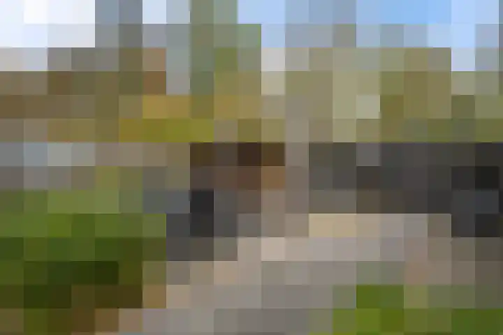 Veenlanden 56 Steenwijk thumbnail 41