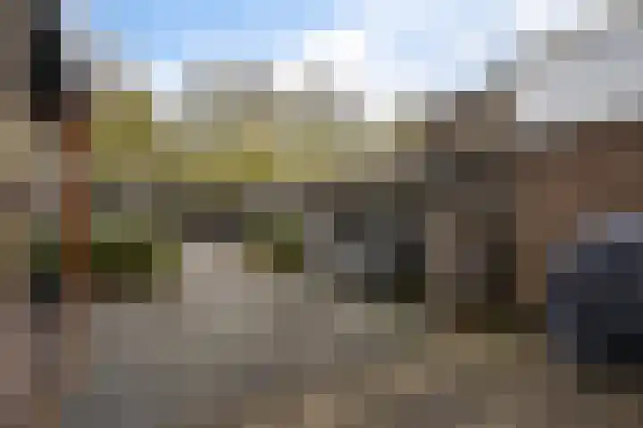 Veenlanden 56 Steenwijk thumbnail 42
