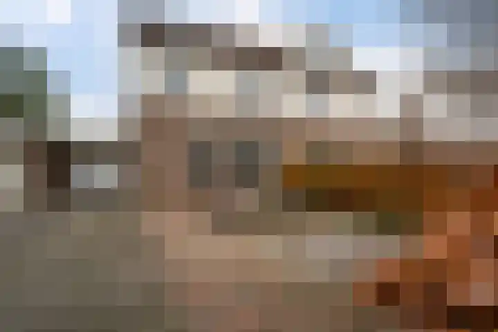 Veenlanden 56 Steenwijk thumbnail 43