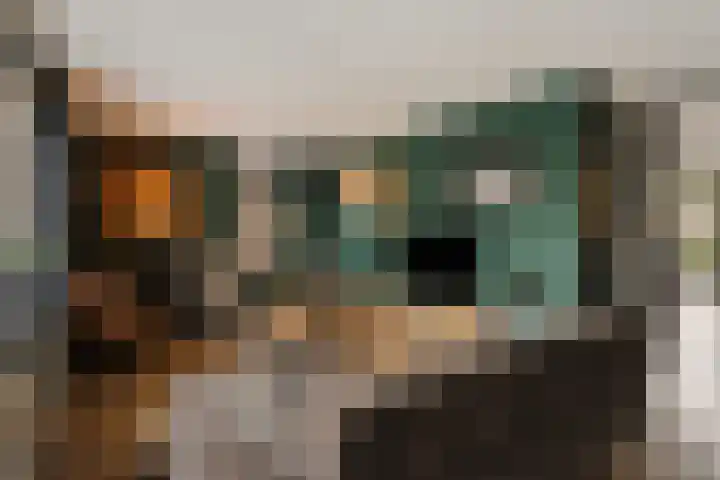 Veenlanden 56 Steenwijk thumbnail 5