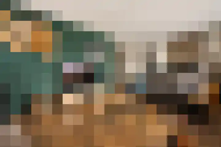 Veenlanden 56 Steenwijk thumbnail 6