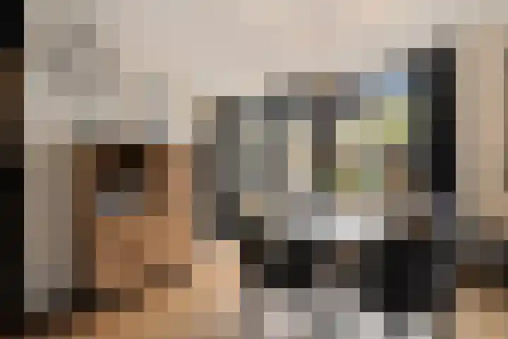 Veenlanden 56 Steenwijk thumbnail 9