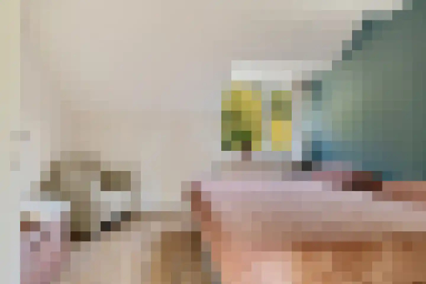 Veenlanden 62 Steenwijk thumbnail 23
