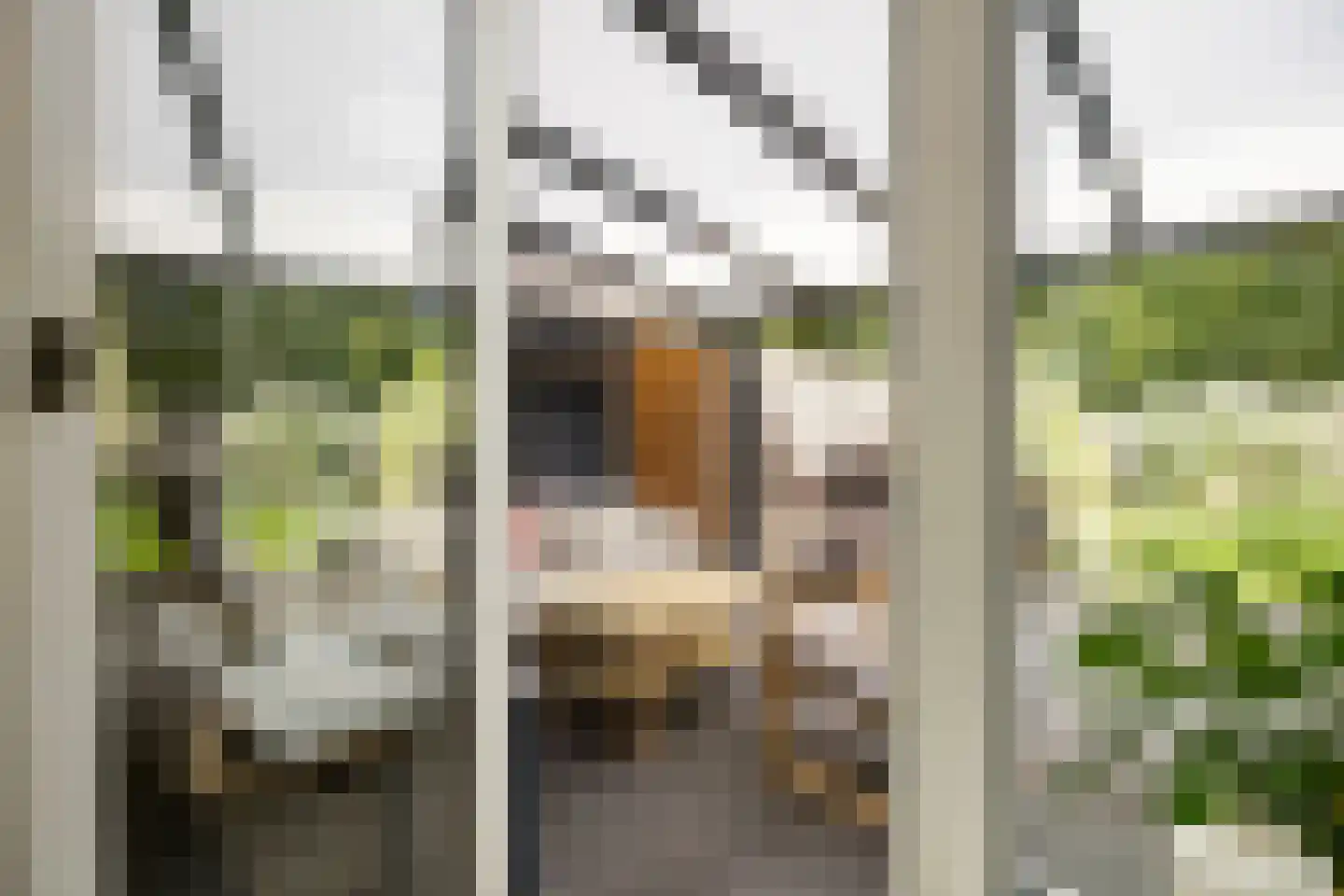 Veenlanden 62 Steenwijk thumbnail 31