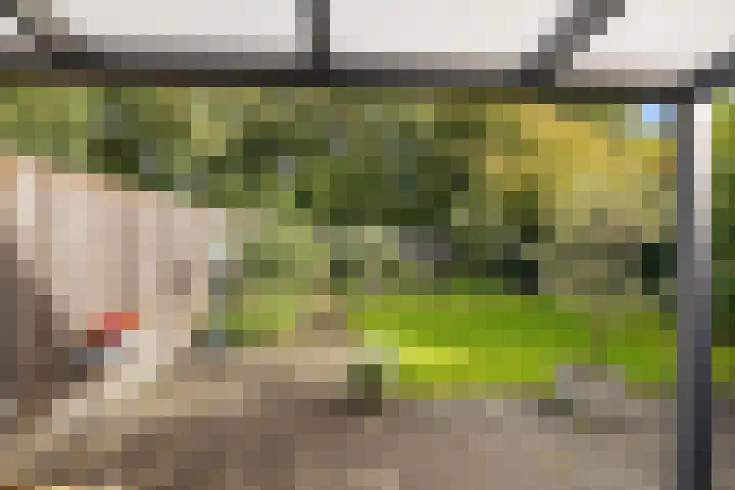 Veenlanden 62 Steenwijk thumbnail 34