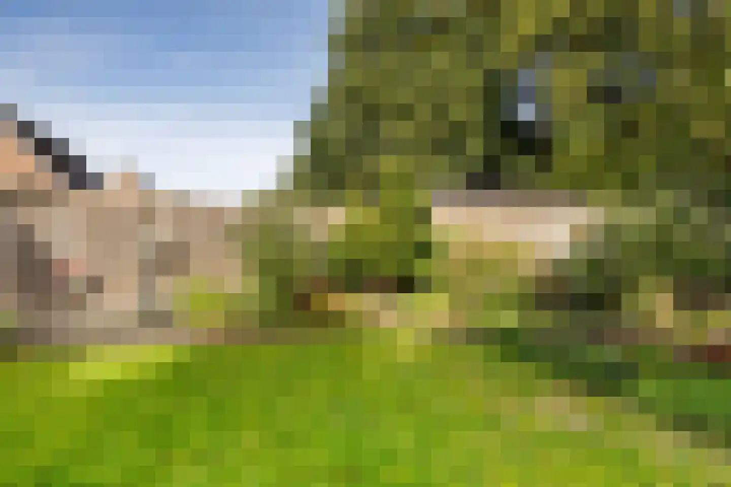 Veenlanden 62 Steenwijk thumbnail 36