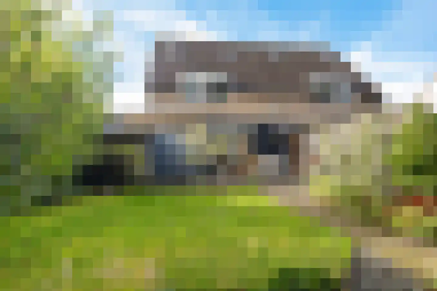 Veenlanden 62 Steenwijk thumbnail 38