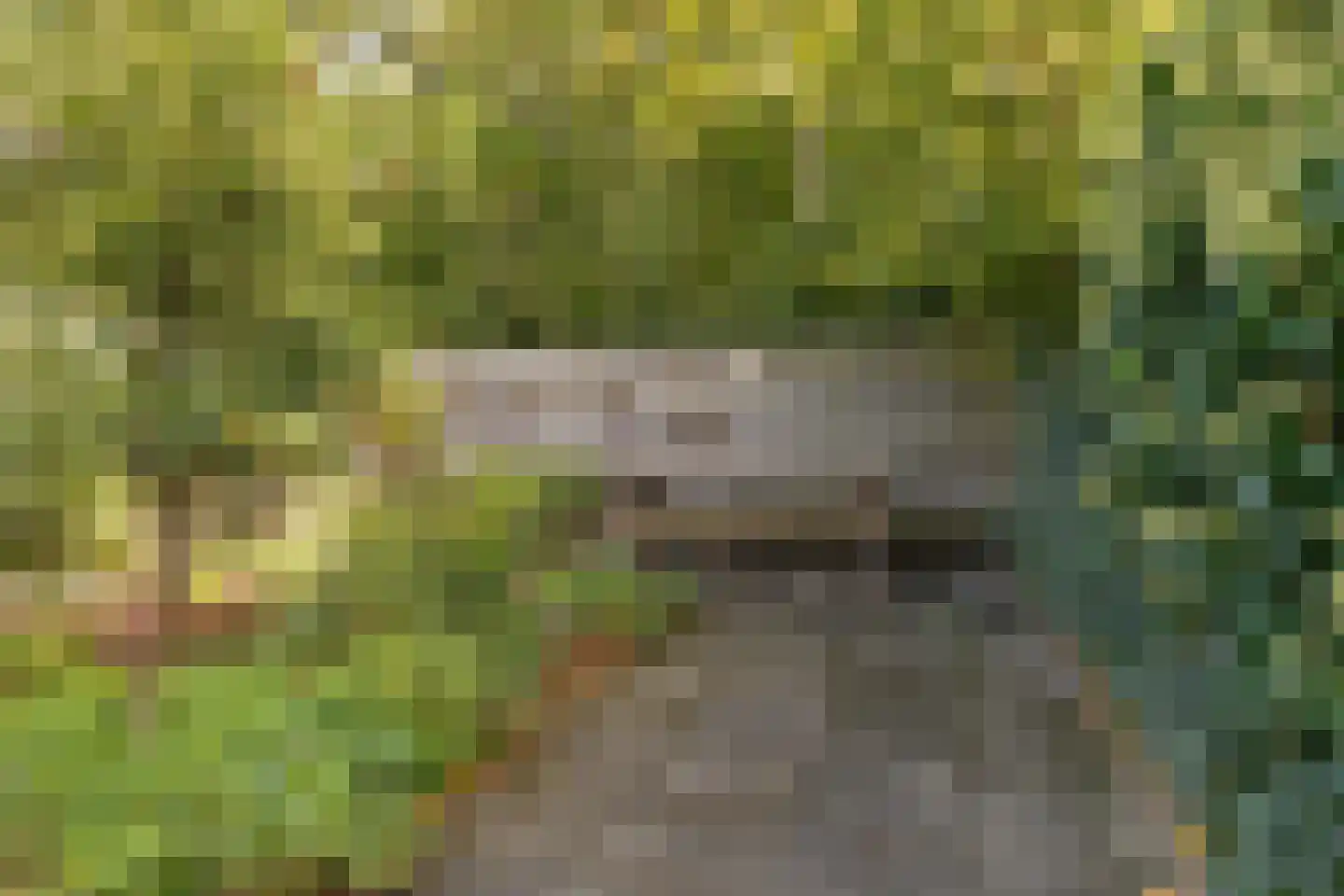 Veenlanden 62 Steenwijk thumbnail 39