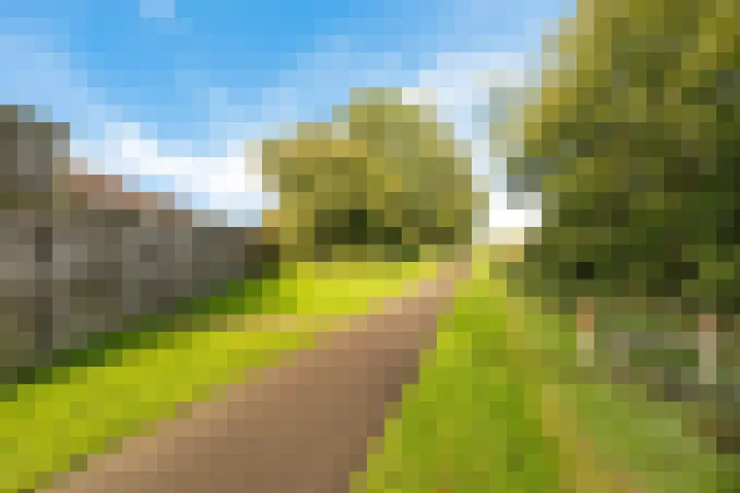 Veenlanden 62 Steenwijk thumbnail 41