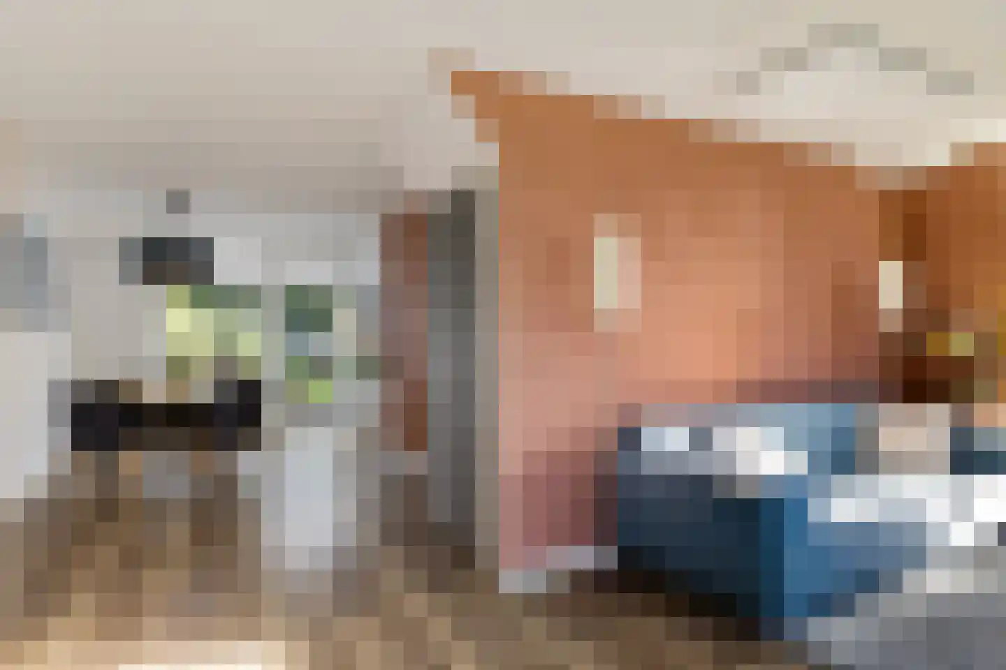Veenlanden 62 Steenwijk thumbnail 7