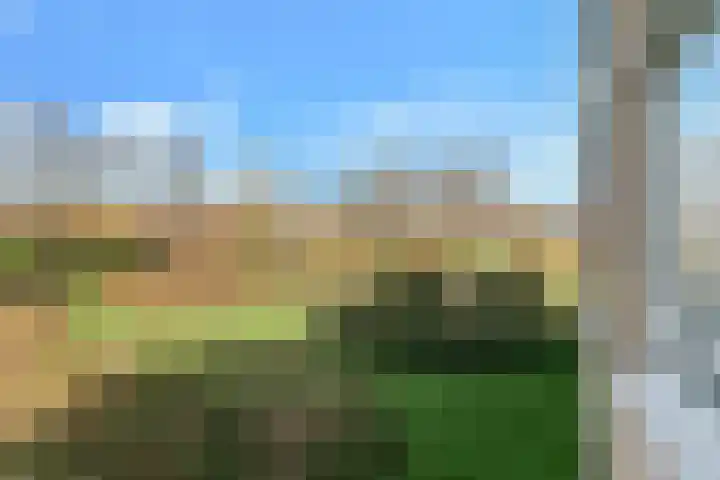 Veenlanden 69 Hoevelaken thumbnail 11