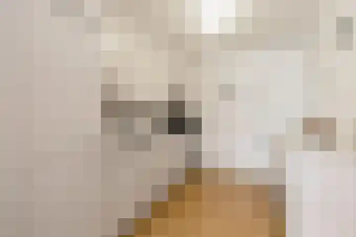 Veenlanden 69 Hoevelaken thumbnail 14