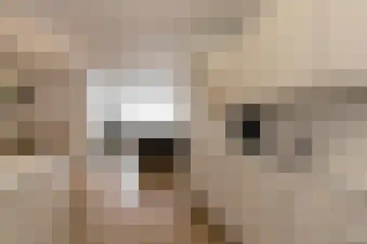 Veenlanden 69 Hoevelaken thumbnail 16