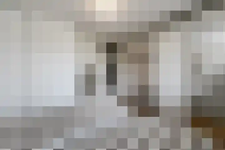 Veenlanden 69 Hoevelaken thumbnail 18