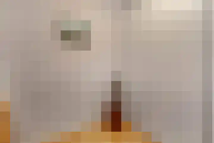 Veenlanden 69 Hoevelaken thumbnail 22
