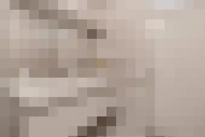 Veenlanden 69 Hoevelaken thumbnail 24