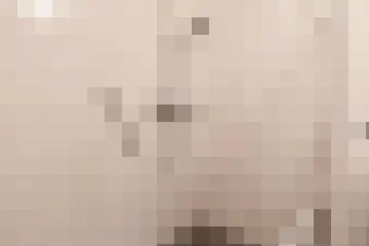 Veenlanden 69 Hoevelaken thumbnail 25