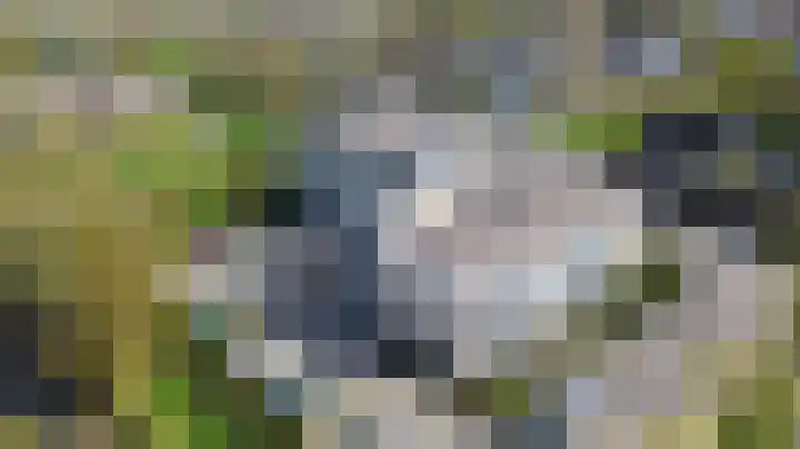 Veenlanden 69 Hoevelaken thumbnail 27
