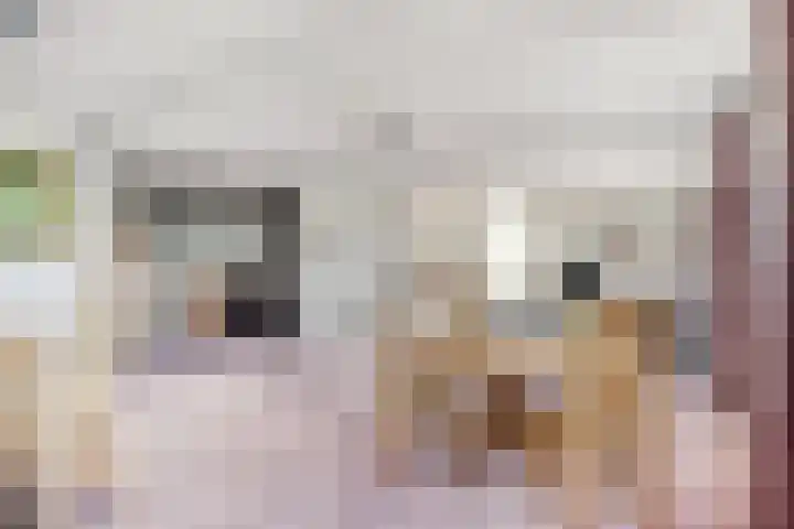 Veenlanden 87 Hoevelaken thumbnail 11