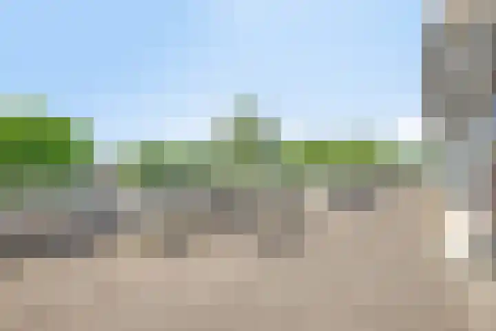 Veenlanden 87 Hoevelaken thumbnail 19