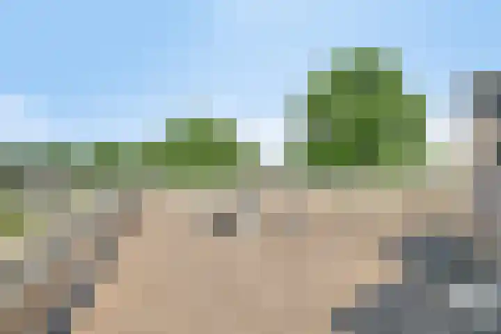 Veenlanden 87 Hoevelaken thumbnail 20