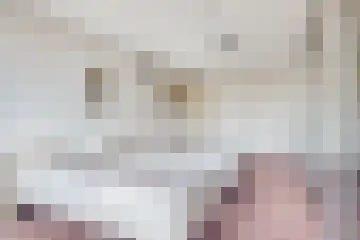 Veenlanden 87 Hoevelaken thumbnail 24