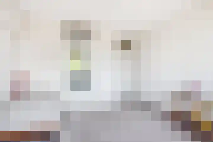 Veenlanden 87 Hoevelaken thumbnail 28