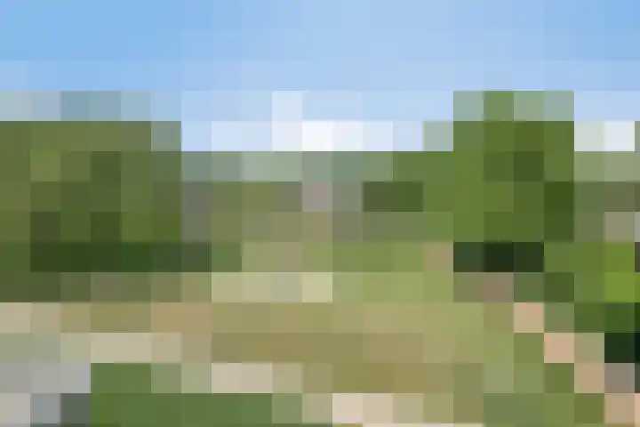 Veenlanden 87 Hoevelaken thumbnail 35