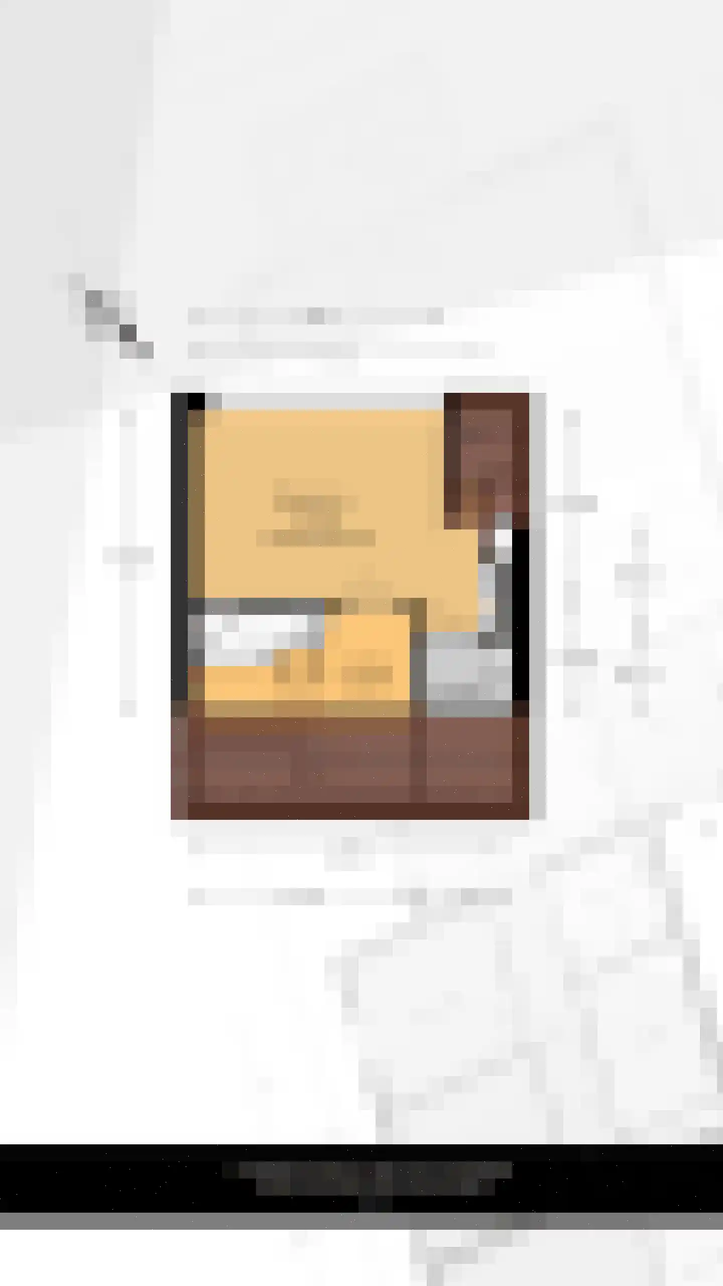 Veenlantstraat 27 A Schiedam thumbnail 32