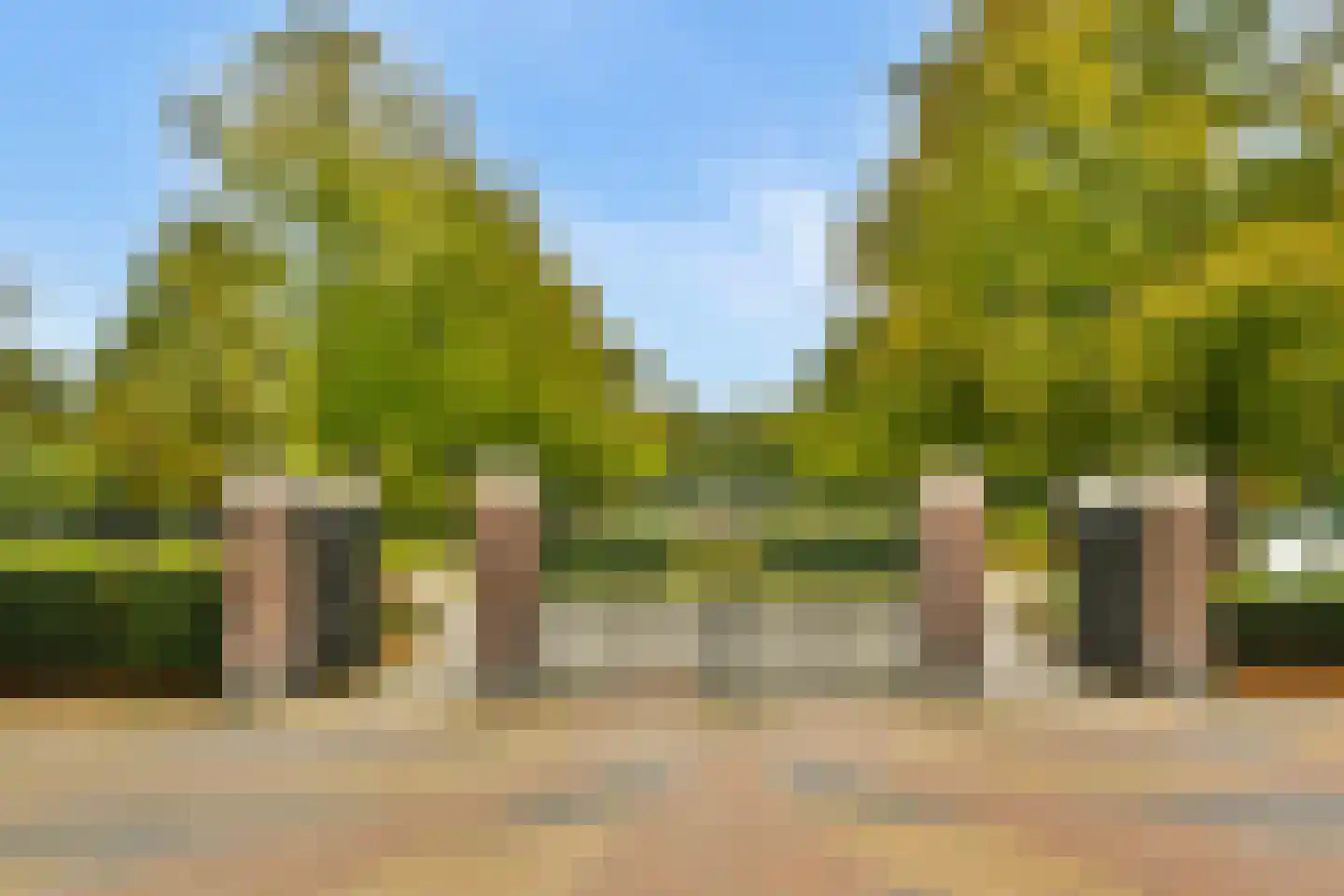 Veenlantstraat 28 Schiedam thumbnail 22