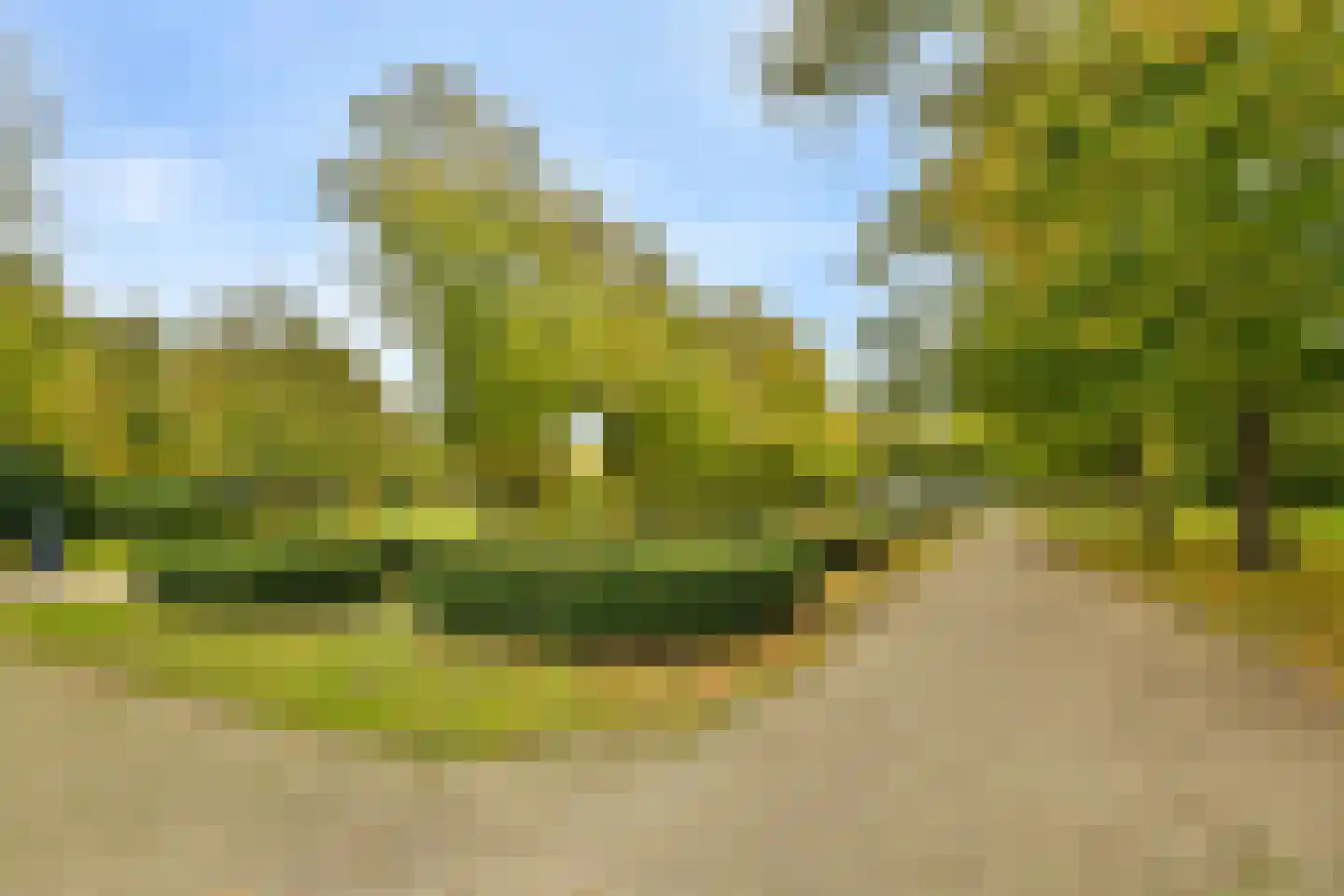 Veenlantstraat 28 Schiedam thumbnail 23