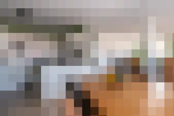 Veenlustplein 1 13 Veendam thumbnail 14