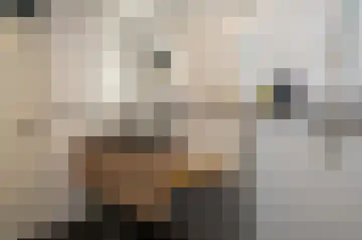 Veenlustplein 1 13 Veendam thumbnail 32