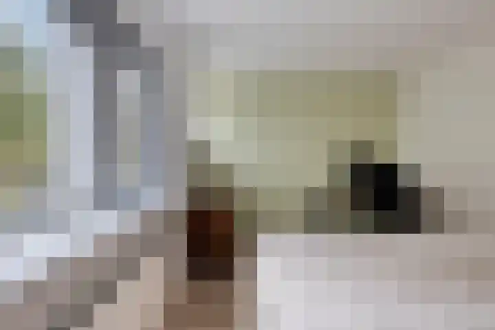 Veenmeer 35 Houten thumbnail 20