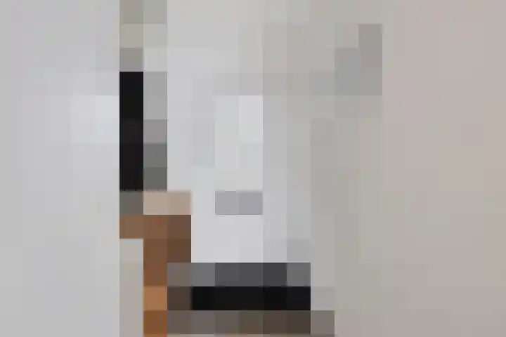 Veenmeer 35 Houten thumbnail 28