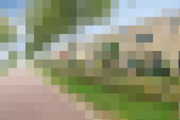 Veenmeer 35 Houten thumbnail 29