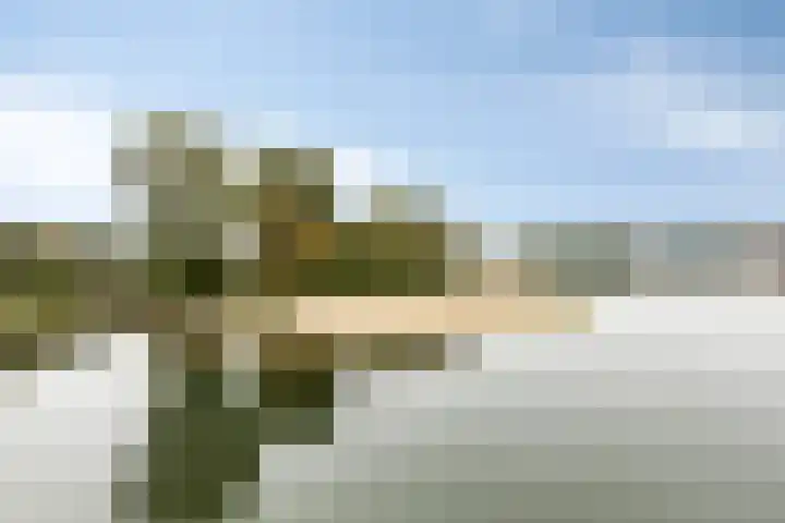 Veenmeer 35 Houten thumbnail 33
