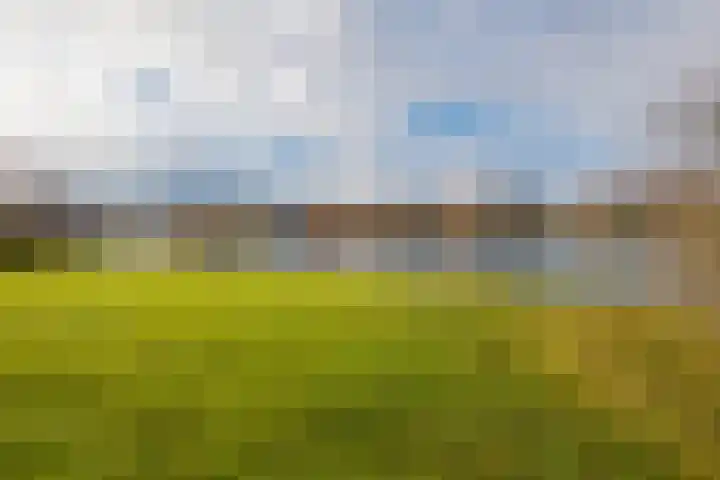 Veenmeer 35 Houten thumbnail 37