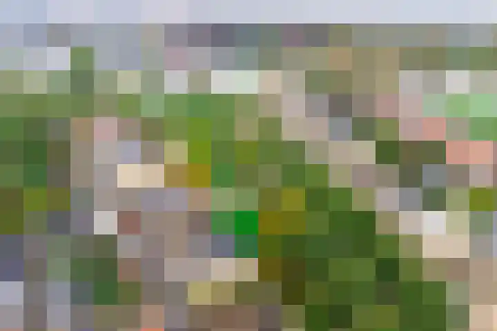 Veenmeer 35 Houten thumbnail 39