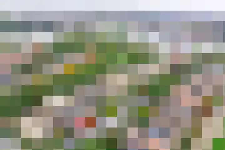 Veenmeer 35 Houten thumbnail 40