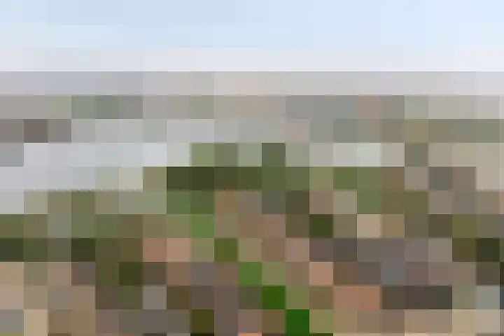 Veenmeer 35 Houten thumbnail 41